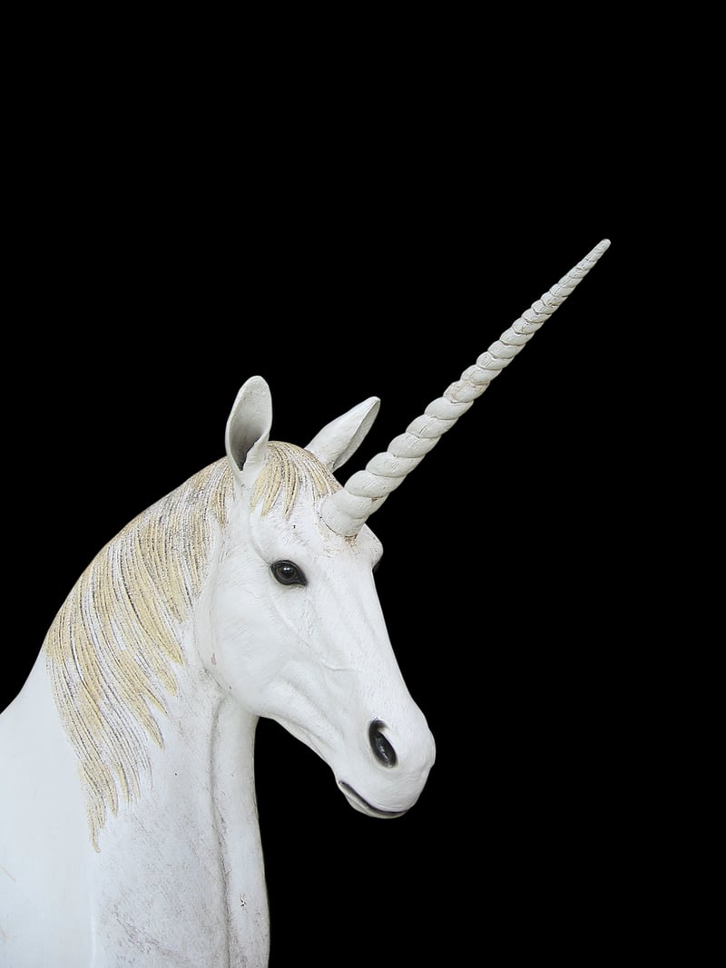 Unicorn planter in a garden